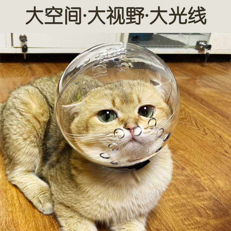 Cat Transparent Breathable Head Hood Adjustable Pet Astronaut Helmet Bite Resistant Round Pet Grooming Headgear